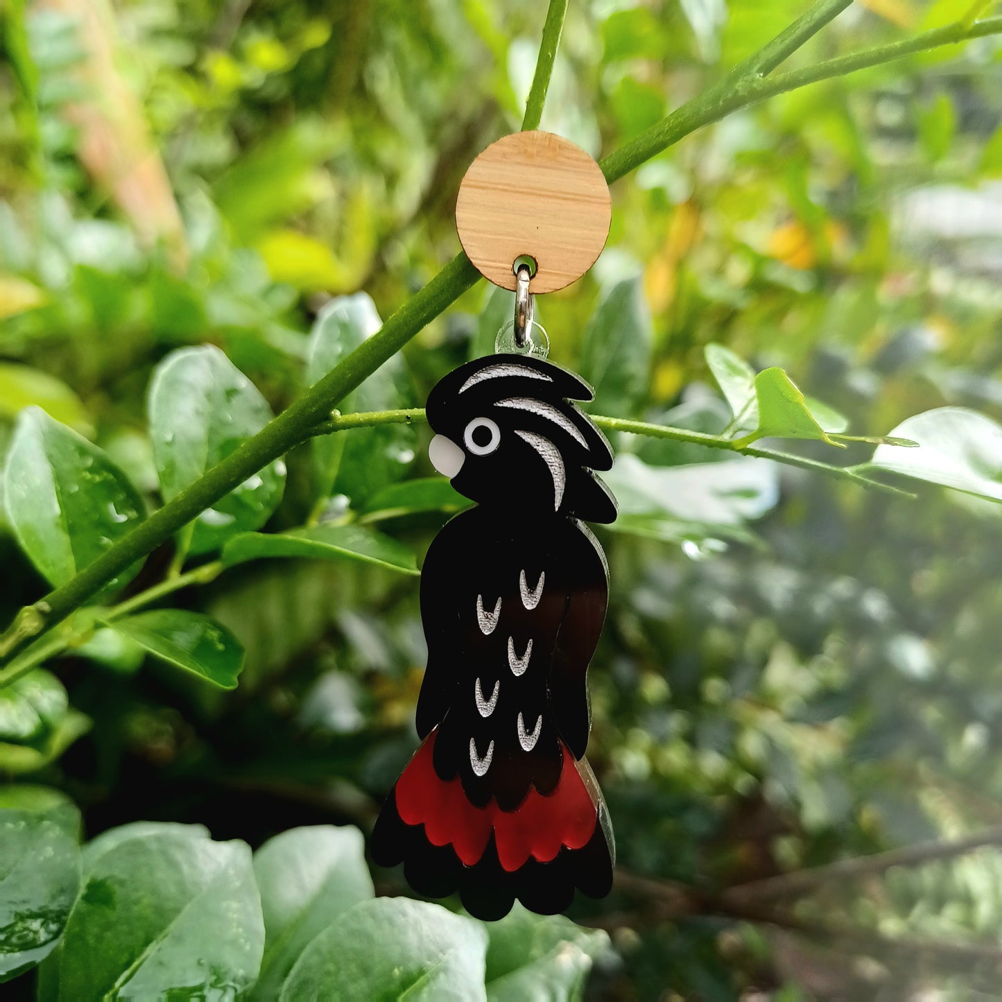 Red Tailed Black Cockatoo Dangle Earrings